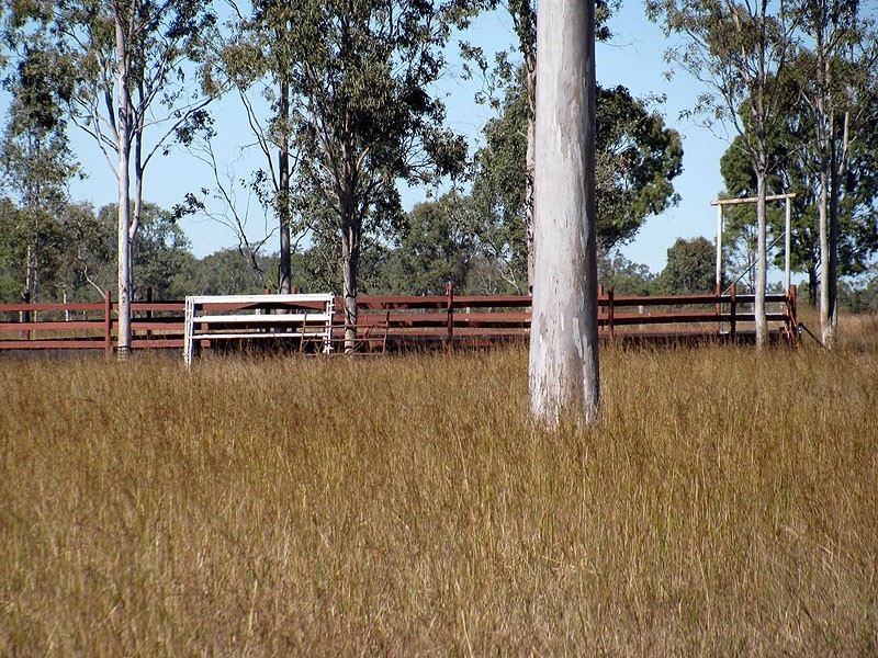 508 Calliope River Road, Yarwun QLD 4694