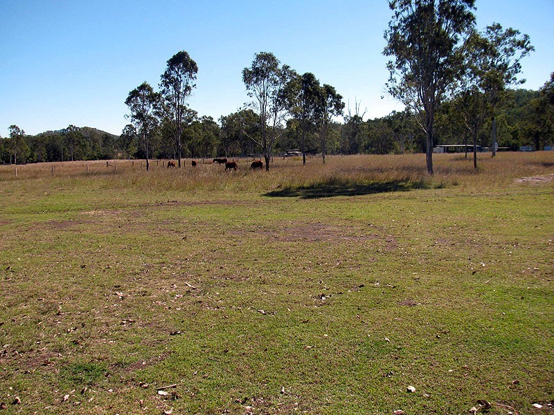 508 Calliope River Road, Yarwun QLD 4694