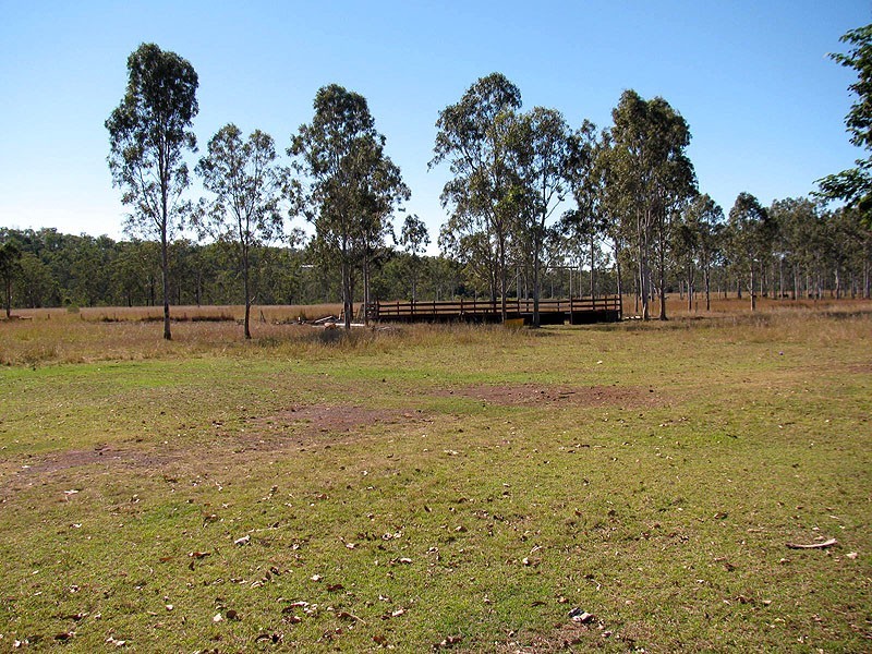 508 Calliope River Road, Yarwun QLD 4694