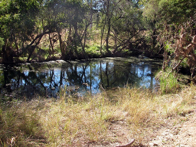 508 Calliope River Road, Yarwun QLD 4694