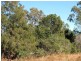 508 Calliope River Road, Yarwun QLD 4694