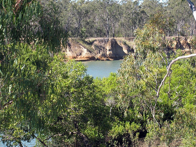 508 Calliope River Road, Yarwun QLD 4694