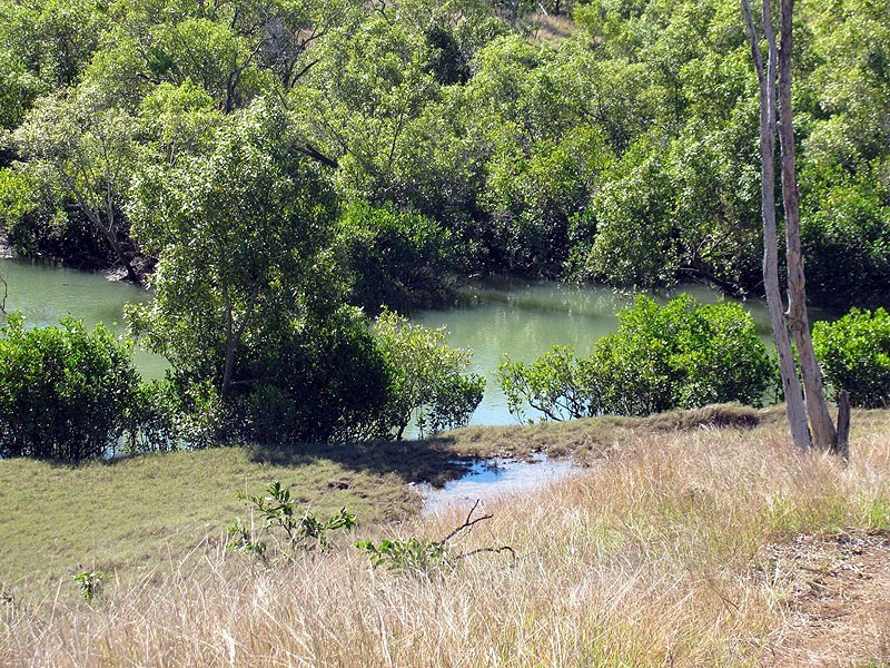 508 Calliope River Road, Yarwun QLD 4694