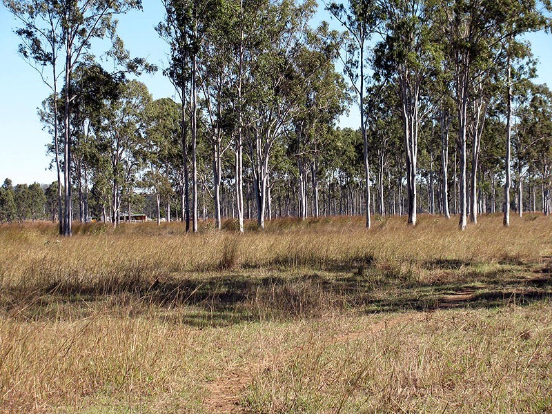 508 Calliope River Road, Yarwun QLD 4694