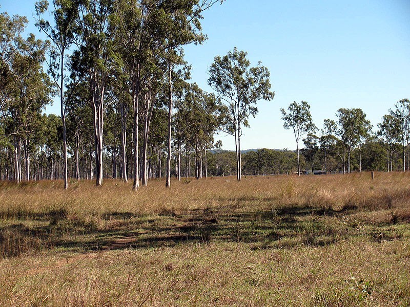 508 Calliope River Road, Yarwun QLD 4694