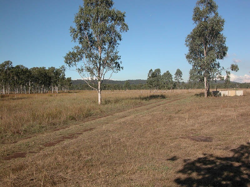 508 Calliope River Road, Yarwun QLD 4694