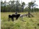 775 Marsh Road, Diglum QLD 4680