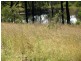 775 Marsh Road, Diglum QLD 4680