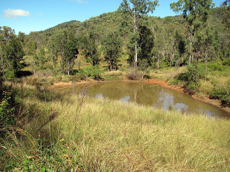 775 Marsh Road, Diglum QLD 4680