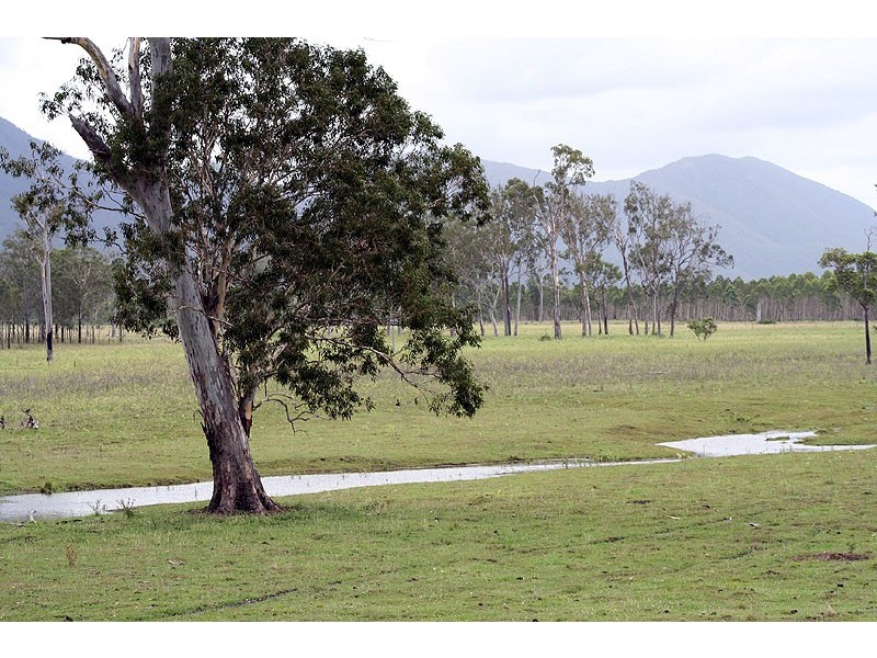 119 Burgess Road, Miriam Vale QLD 4677