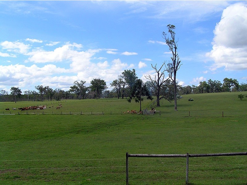 119 Burgess Road, Miriam Vale QLD 4677