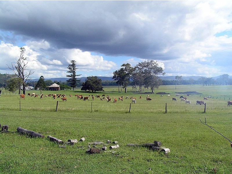 119 Burgess Road, Miriam Vale QLD 4677