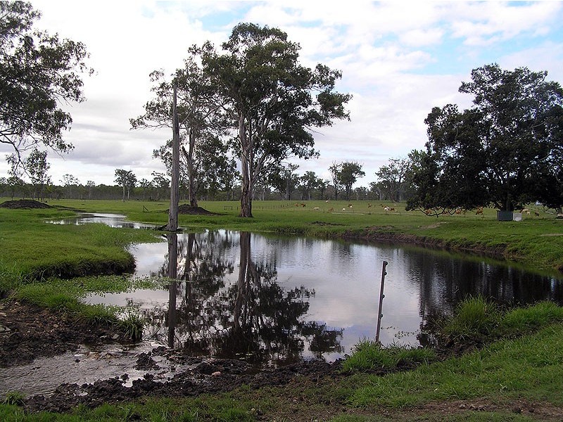 119 Burgess Road, Miriam Vale QLD 4677