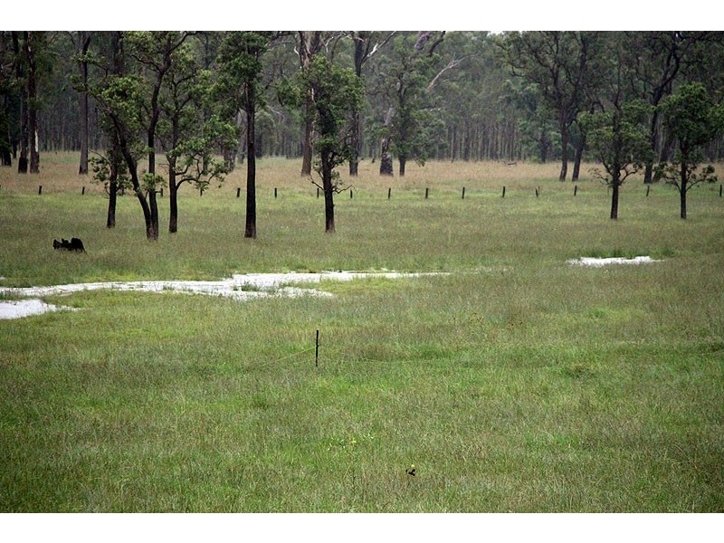 119 Burgess Road, Miriam Vale QLD 4677