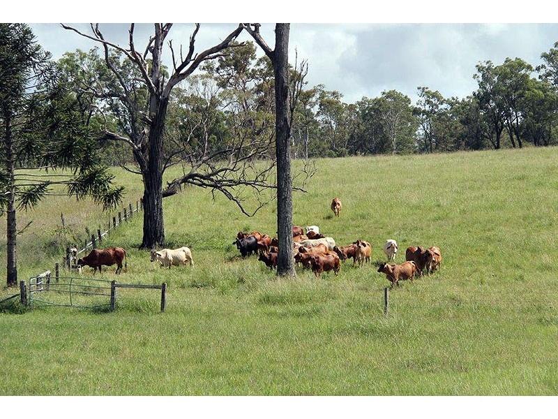 119 Burgess Road, Miriam Vale QLD 4677