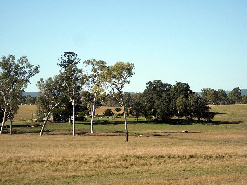 119 Burgess Road, Miriam Vale QLD 4677