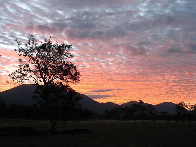 119 Burgess Road, Miriam Vale QLD 4677