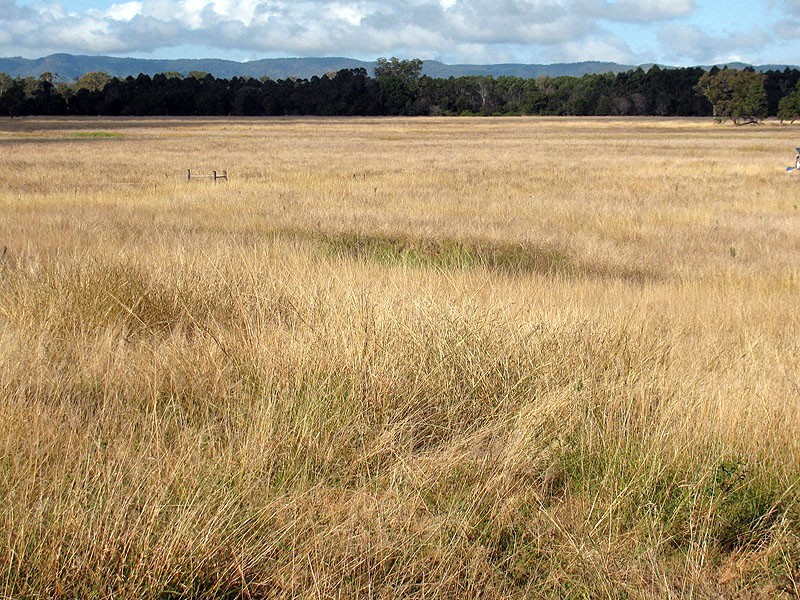 119 Burgess Road, Miriam Vale QLD 4677