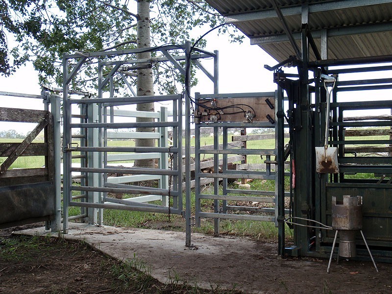 119 Burgess Road, Miriam Vale QLD 4677