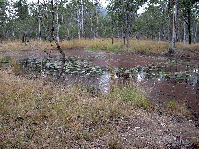 1221 Dude Ranch Road, Iveragh QLD 4680