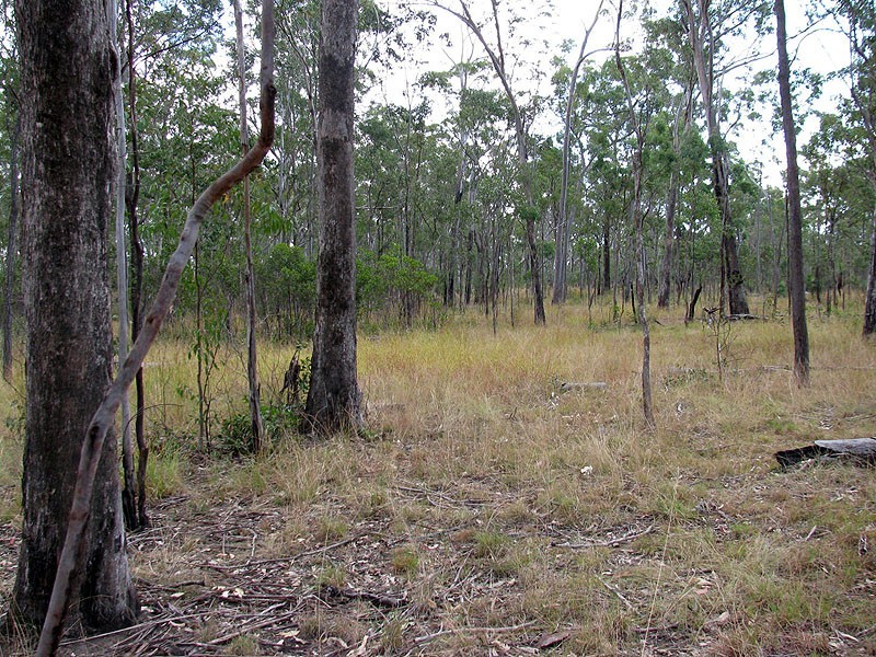 1221 Dude Ranch Road, Iveragh QLD 4680