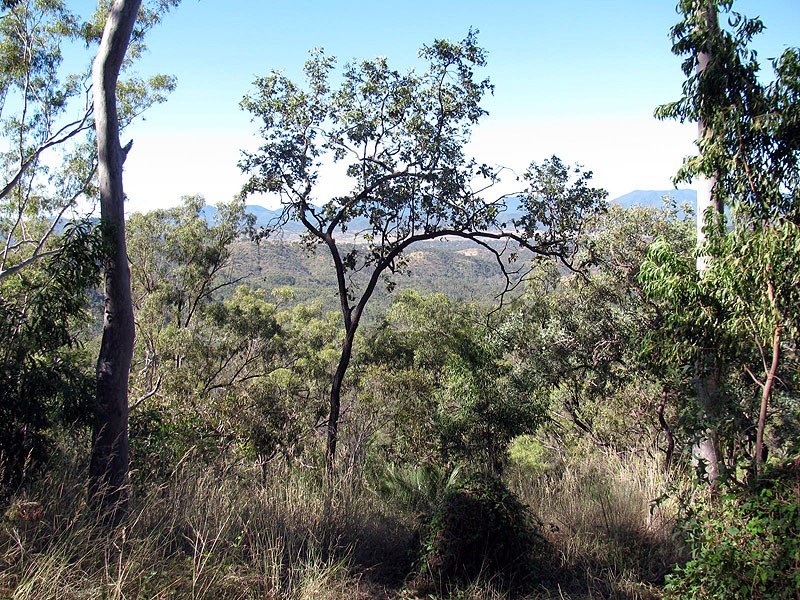 Lot 33 Marble Creek Road, Boyne Valley QLD 4680
