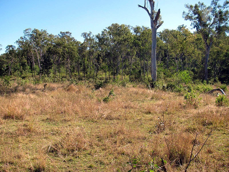 Lot 33 Marble Creek Road, Boyne Valley QLD 4680