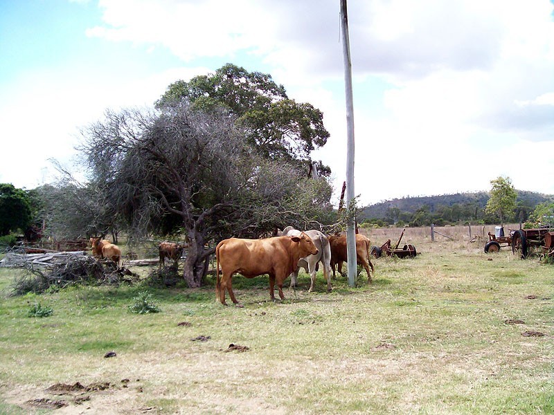 30 Duncan Road, Marmor QLD 4702