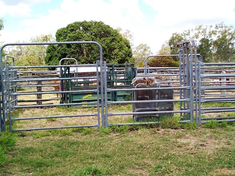 30 Duncan Road, Marmor QLD 4702