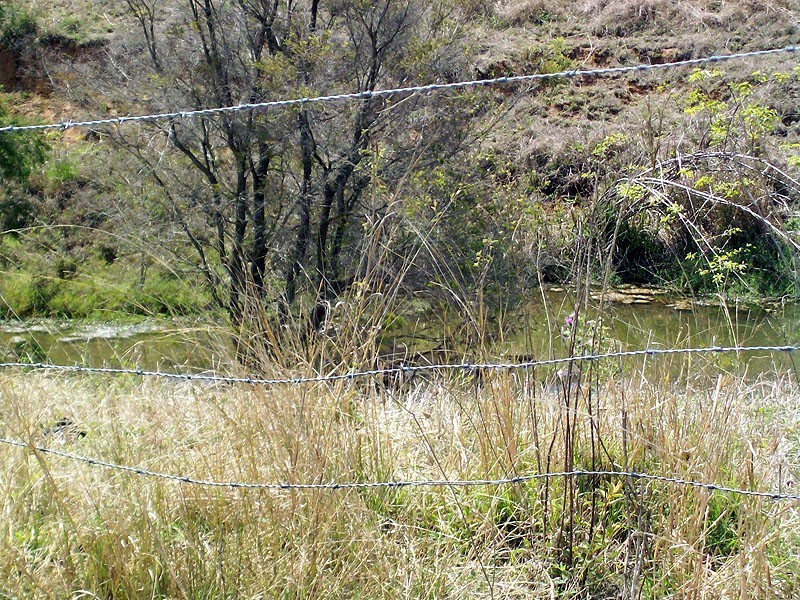 30 Duncan Road, Marmor QLD 4702