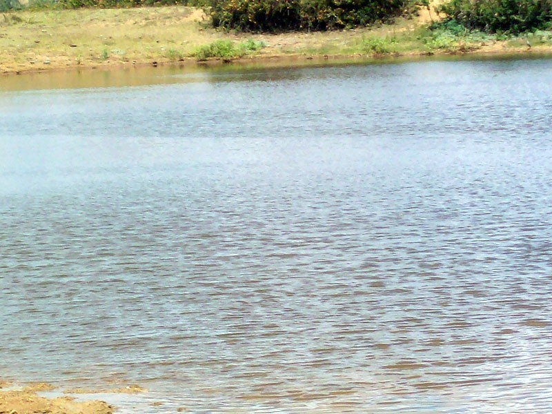 30 Duncan Road, Marmor QLD 4702