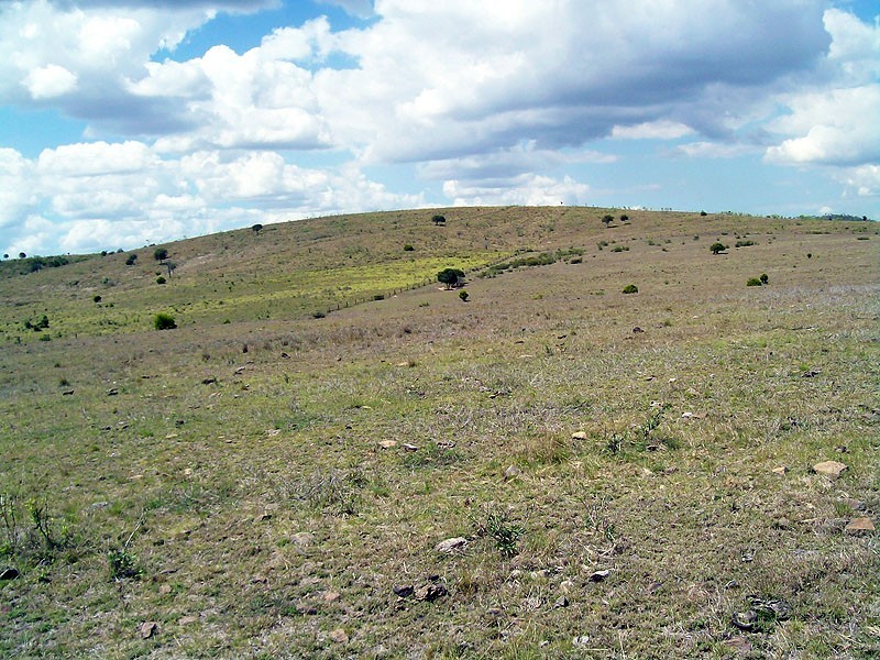 30 Duncan Road, Marmor QLD 4702