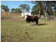 Lot 80 Deep Creek Road, Calliope QLD 4680