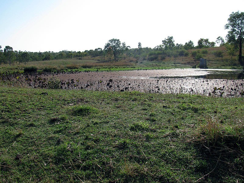 Lot 80 Deep Creek Road, Calliope QLD 4680