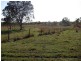 Lot 81 Deep Creek Road, Calliope QLD 4680