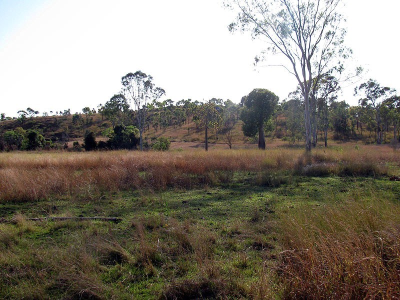 Lot 81 Deep Creek Road, Calliope QLD 4680