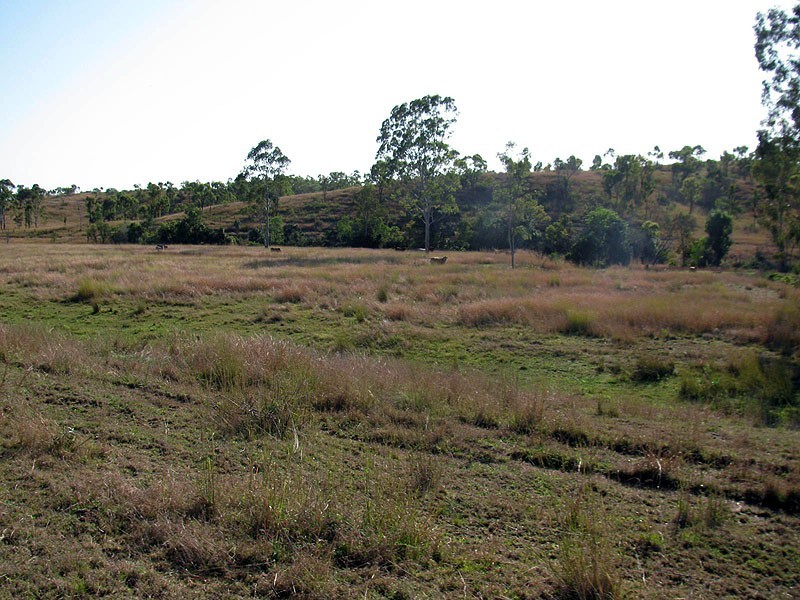 Lot 81 Deep Creek Road, Calliope QLD 4680