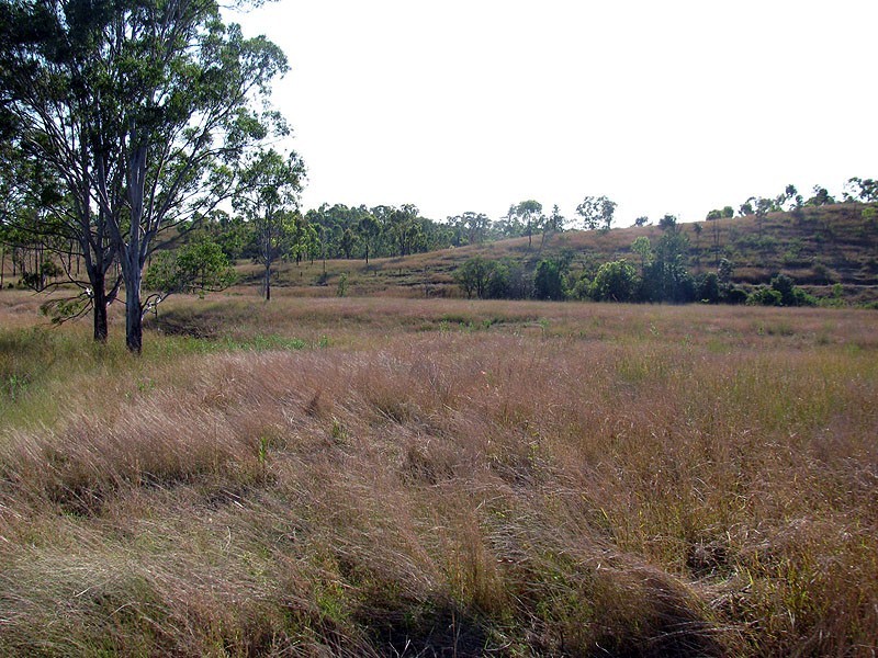 Lot 81 Deep Creek Road, Calliope QLD 4680