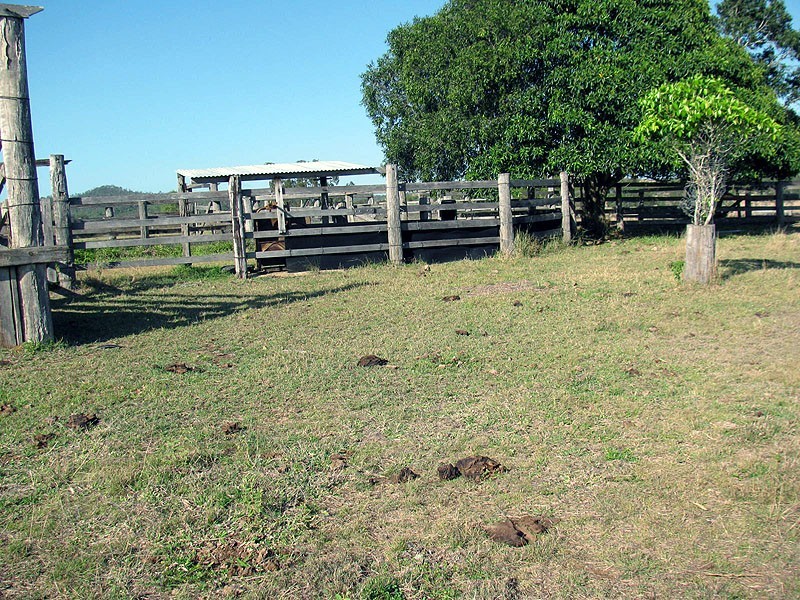 Lot 81 Deep Creek Road, Calliope QLD 4680