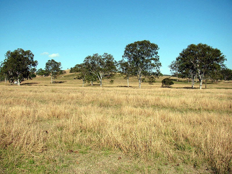 Lot 81 Deep Creek Road, Calliope QLD 4680