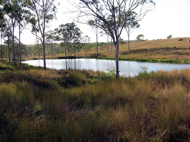 Lot 81 Deep Creek Road, Calliope QLD 4680