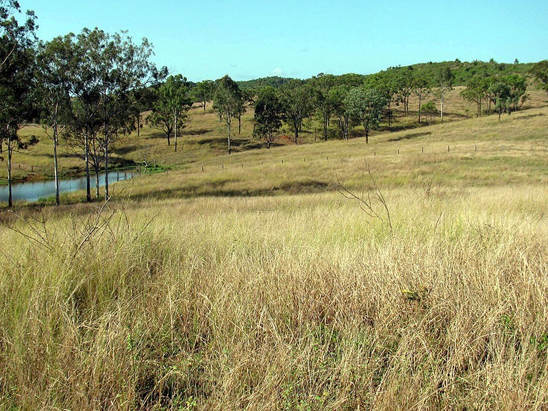 Lot 81 Deep Creek Road, Calliope QLD 4680