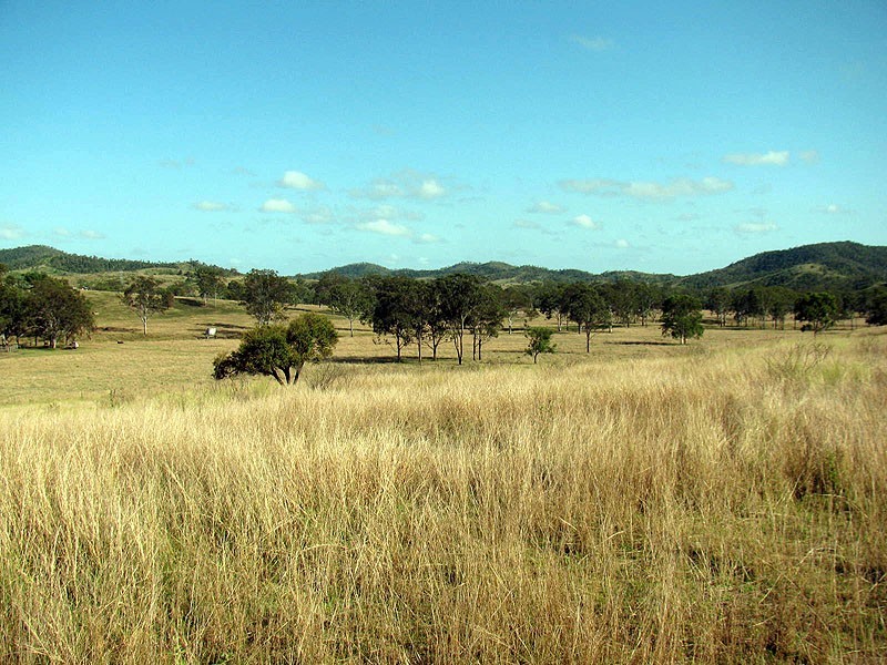 Lot 81 Deep Creek Road, Calliope QLD 4680