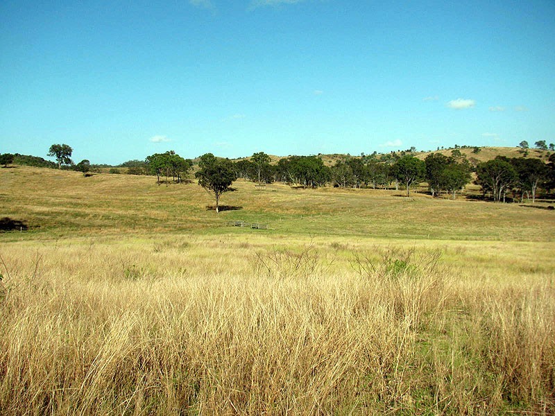 Lot 81 Deep Creek Road, Calliope QLD 4680