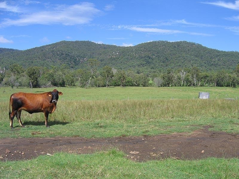 46663 Bruce Highway, Foreshores QLD 4678