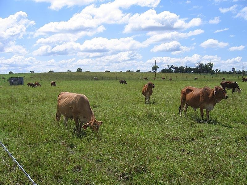 46663 Bruce Highway, Foreshores QLD 4678