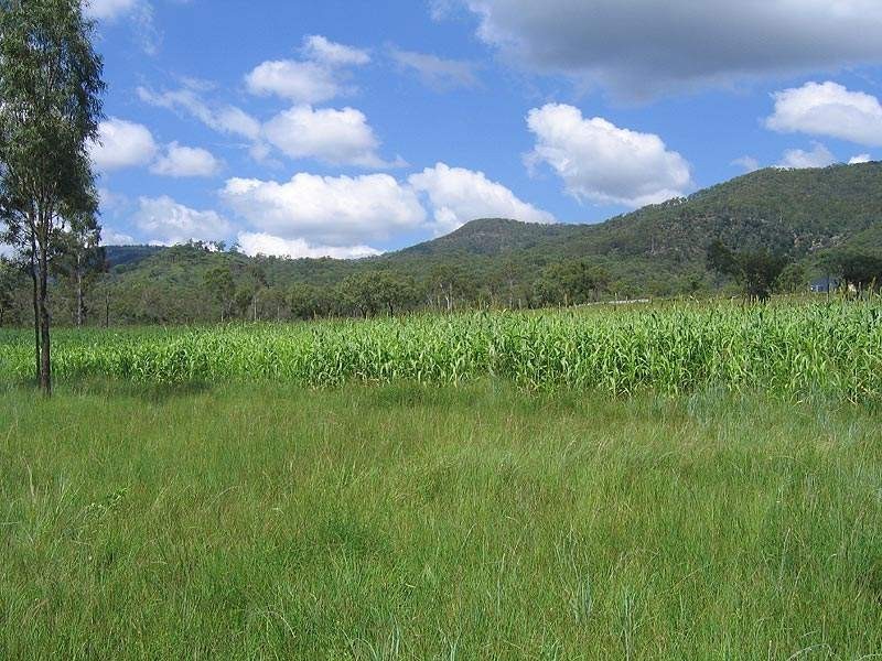 46663 Bruce Highway, Foreshores QLD 4678