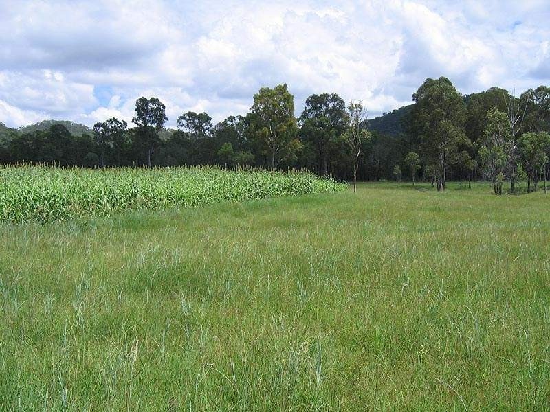 46663 Bruce Highway, Foreshores QLD 4678