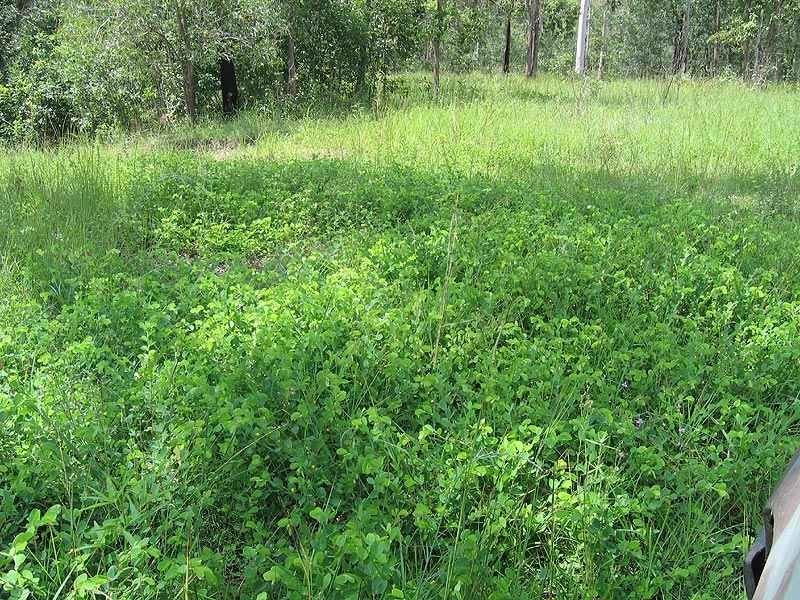 46663 Bruce Highway, Foreshores QLD 4678