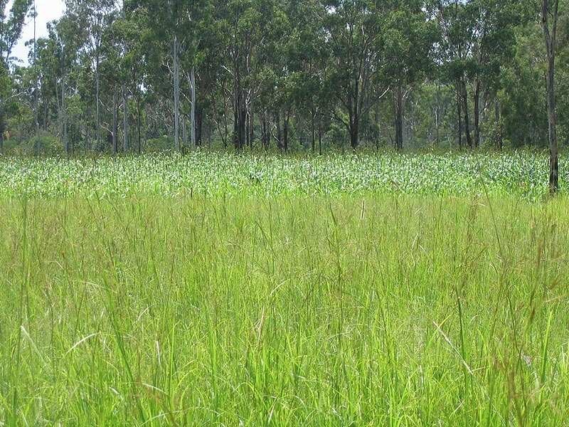 46663 Bruce Highway, Foreshores QLD 4678